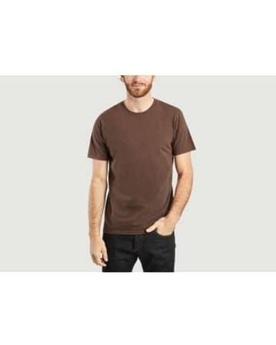 COLORFUL STANDARD T-shirt organique brun chocolat - Marron