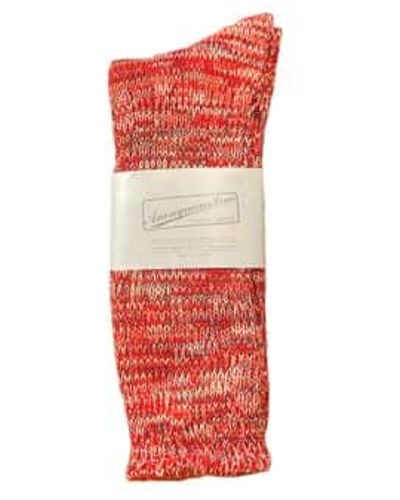 Anonymous Ism 5 Colour Mix Crew Sock 0060 L - Red