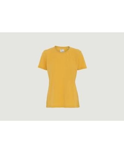 COLORFUL STANDARD Camiseta algodón orgánico lgado - Amarillo