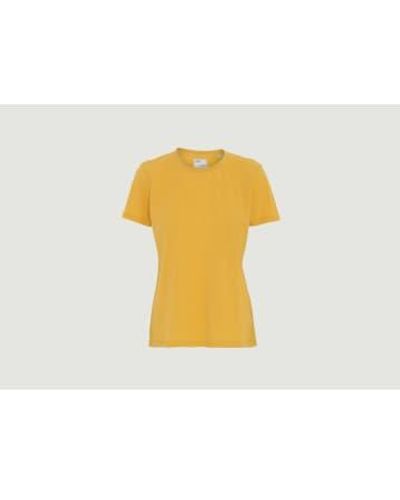 COLORFUL STANDARD T-shirt Slim-Fit coton biologique - Jaune