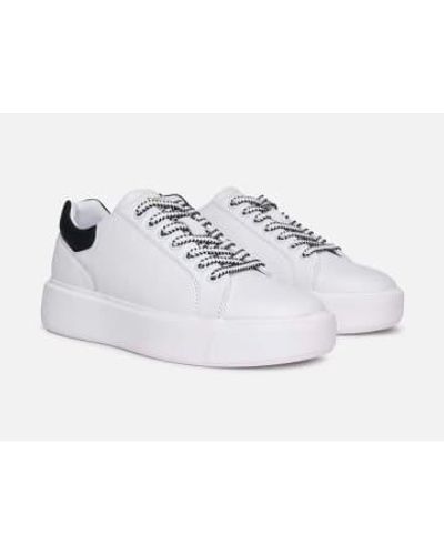 Philip Hog Leather Luna Sneaker And White - Bianco