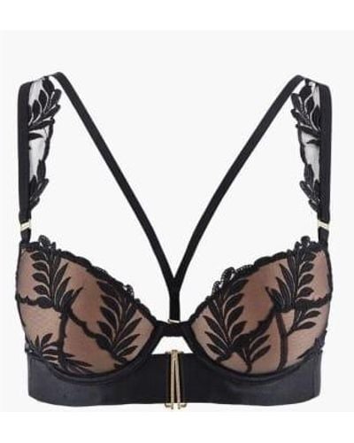 Aubade Queen Of Shadow Padded Bra In - Nero