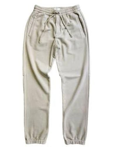 Circolo 1901 Cn4028 cashmere touch jogging bottoms in rainy days - Gris