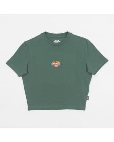 Dickies Maple Valley Cropped T-shirt - Green