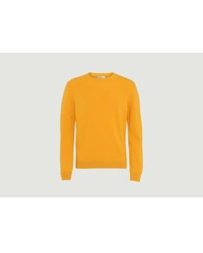 COLORFUL STANDARD Classic Merino Sweater 2 - Arancione