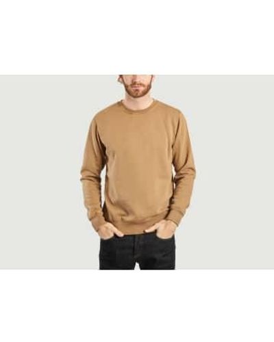 COLORFUL STANDARD Organic Sweatshirt 1 - Marrone