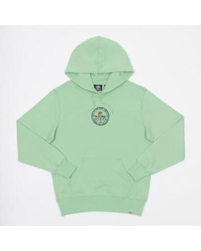Dickies Sburg graphic hoodie in ruhigem grün