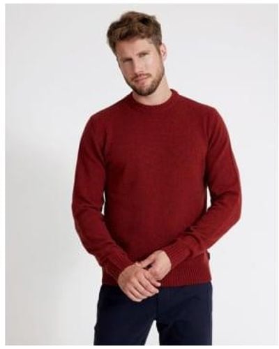 Holebrook Maple Charles Crew Xl - Red