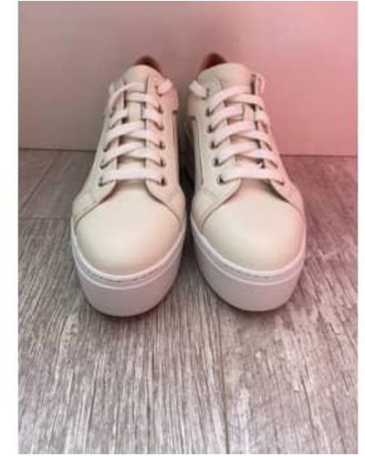 DONNA LEI Lace Up Platform Sneakers 38 - Pink