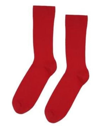 COLORFUL STANDARD Classic Organic Socks Scarlet / One Size - Red