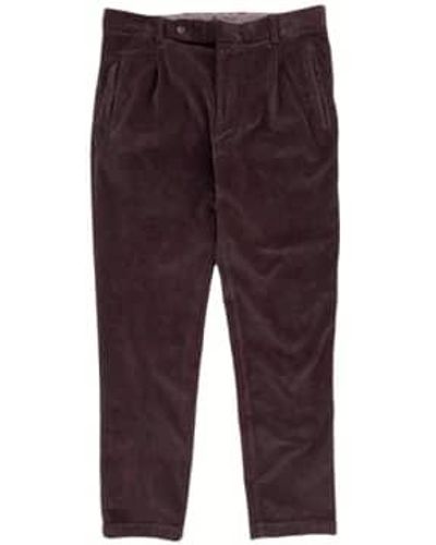 Fresh Pana pana plisado pantalones chino en marrón - Rojo
