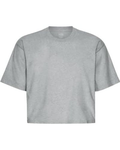 COLORFUL STANDARD Heather Organic Boxy Crop T-shirt - Grey