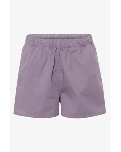 COLORFUL STANDARD Pantalones cortos sarga neblina púrpura - Morado