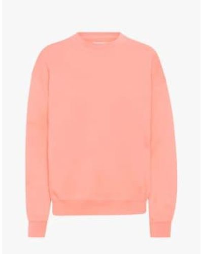 COLORFUL STANDARD Organic Oversized Crew Bright / S - Pink