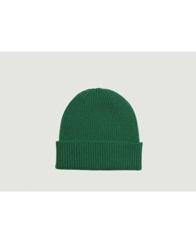 COLORFUL STANDARD Recycled Merino Hat - Verde