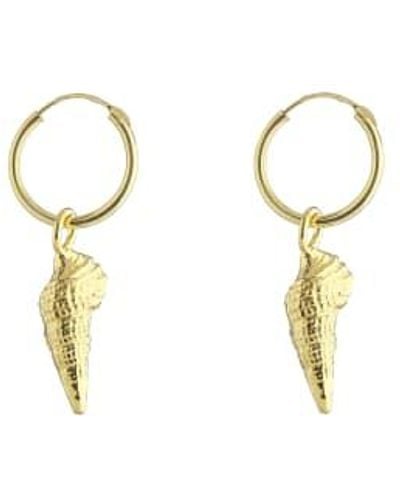silver jewellery Small Shell Hoop Earrings Gold 1.5cm/drop 4cm - Metallic