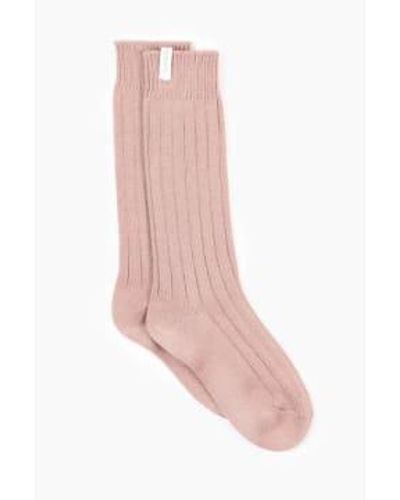 Tutti & Co Soc058 Orchid Long Socks One Size / Coloured - Pink