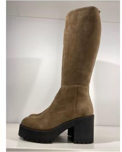 DONNA LEI Knee High Sude Boots - Marrone