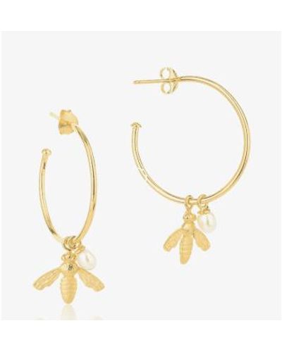 Claudia Bradby Plated Flying Bee Hoop Earrings - Metallic