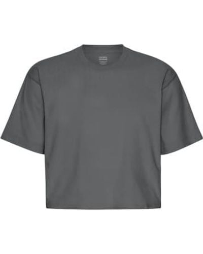COLORFUL STANDARD Lava Organic Boxy Crop T Shirt - Grigio