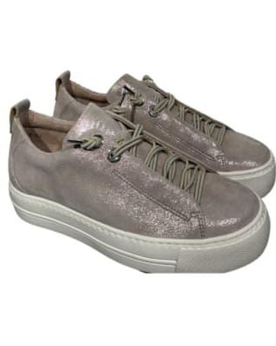 Paul Green 'aki' Trainer Taupe Shimmer / 3 - Grey