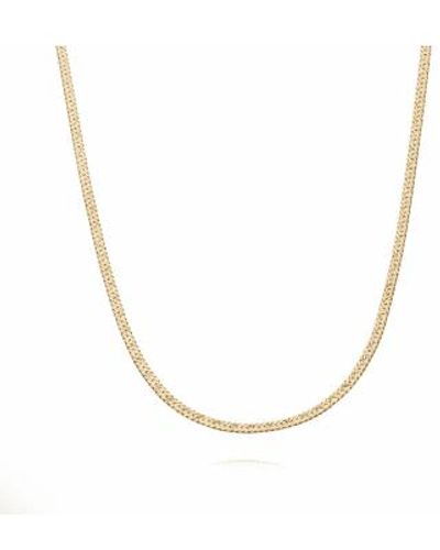 Daisy London X Estée Lalonde Short Flat Snake Chain Necklace Plated - Metallic