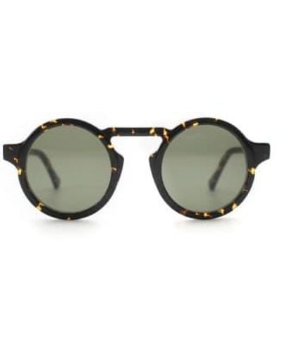 Oscar Deen Panda Sunglasses Ember - Marrone