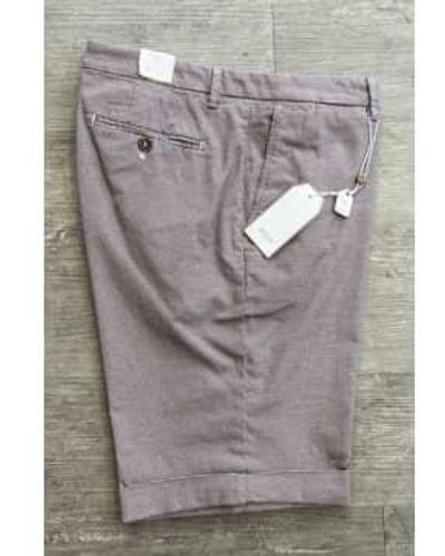 Briglia 1949 Panna Check Stretch Cotton Slim Fit Shorts Bg108 - Grigio