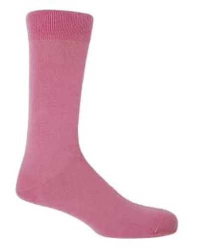 Peper Harow Classic Socks Uk 6-13 - Pink
