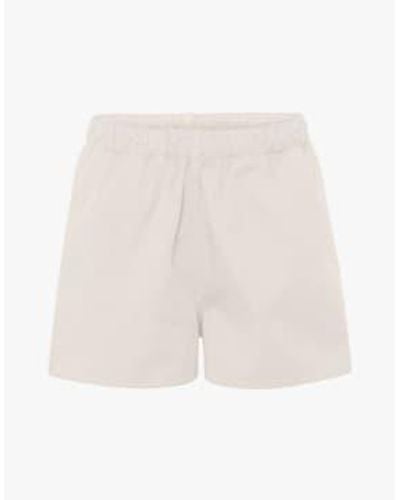 COLORFUL STANDARD Pantalones cortos sarga orgánica - Neutro
