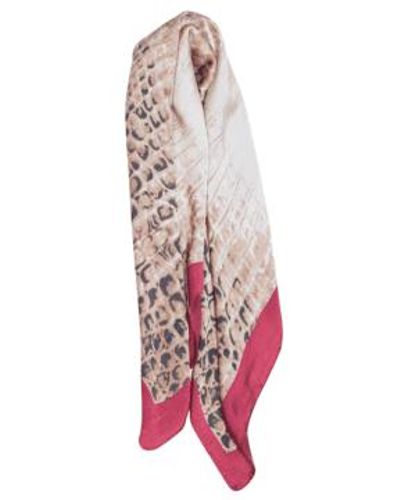 MSH Scale Print Faux Silk Scarf With Colour Block Border - Rosa