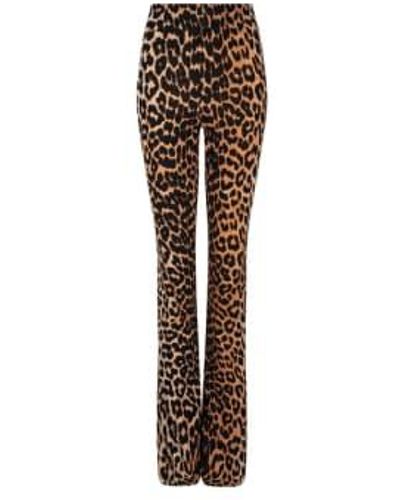 AMBIKA Elin Flared Trousers Leopard S - Brown