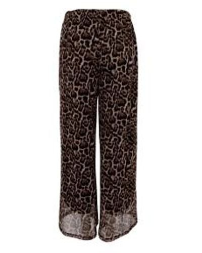 Black Colour Color Savannah Pants - Brown