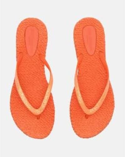Ilse Jacobsen Glitzer flip flops heiß - Orange