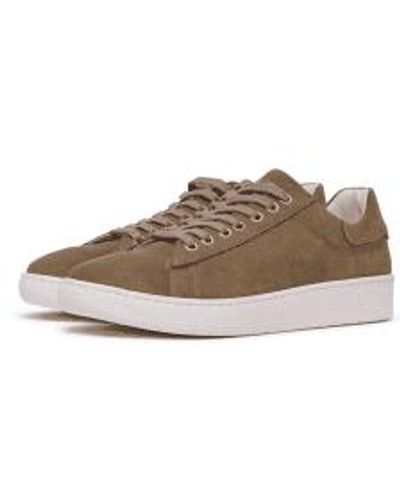 Philip Hog Salvia Sofia Lace Up Sneakers 5 - Brown