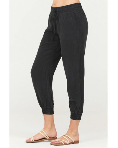 Bella dahl pocket best sale jogger