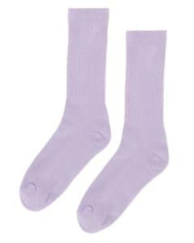 COLORFUL STANDARD Organic Active Sock Soft Lavender 1 - Viola