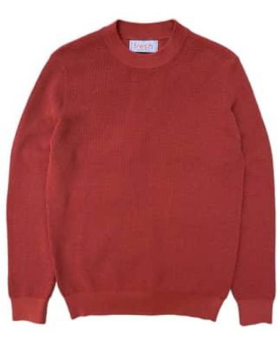 Fresh Crepe -baumwoll -crewneck -pullover in cayenne - Rot
