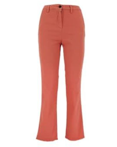 White Sand Ava Cotton Coral Pants 38 - Red