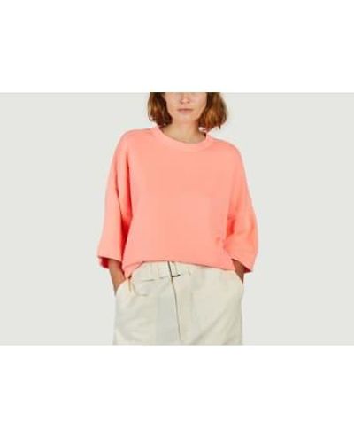 Bellerose Farlol Sweatshirt 1 - Rosa