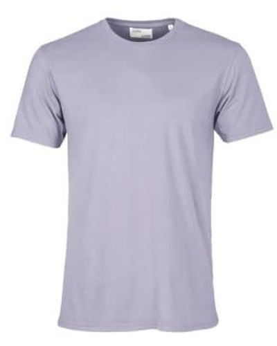 COLORFUL STANDARD Classic Organic T-shirt Jade / M - Purple