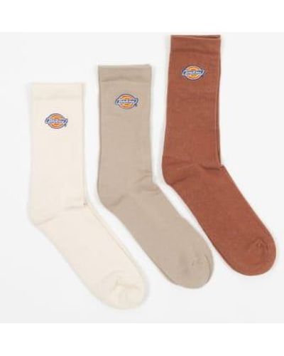 Dickies 3 Pack Valley Grove Logo Socks In - Bianco