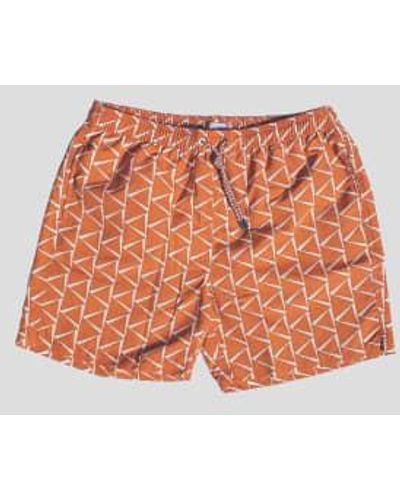 Closed Printed Swimsuit Tangerine Xl - Orange