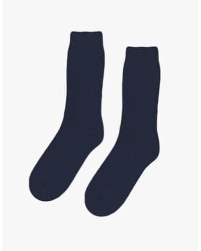 COLORFUL STANDARD Merino Blend Sock - Blue