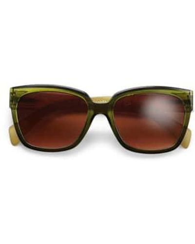 Have A Look Reading Sunglasses Mood Army Moss - Marrone