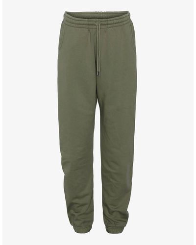 Colorful standard joggers new arrivals