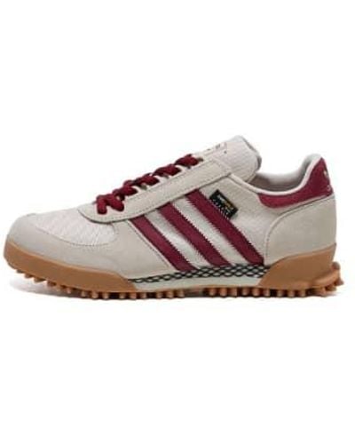 adidas Shoes > sneakers - Marron