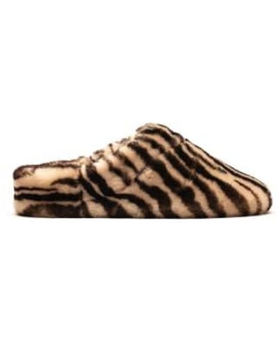 Tracey Neuls Slippers Zebra Or And Black Shearling Slippers - Marrone