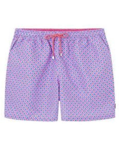 Hackett Swim Shorts - Purple