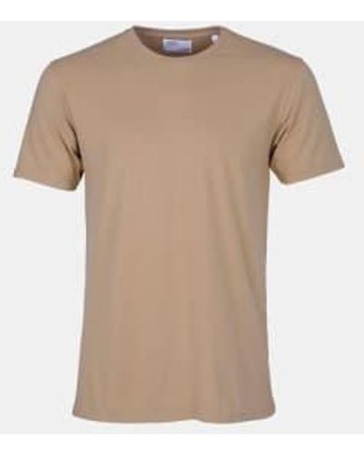 COLORFUL STANDARD Desert Colourful Standard Classic Tee - Natural